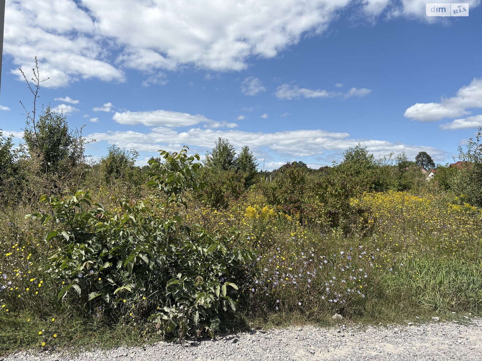 Земля сільськогосподарського призначення в Вінниці, район тип предложения, площа 20 соток фото 1 Земля сільськогосподарського призначення в Вінниці, район тип предложения, площа 20 соток фото 1