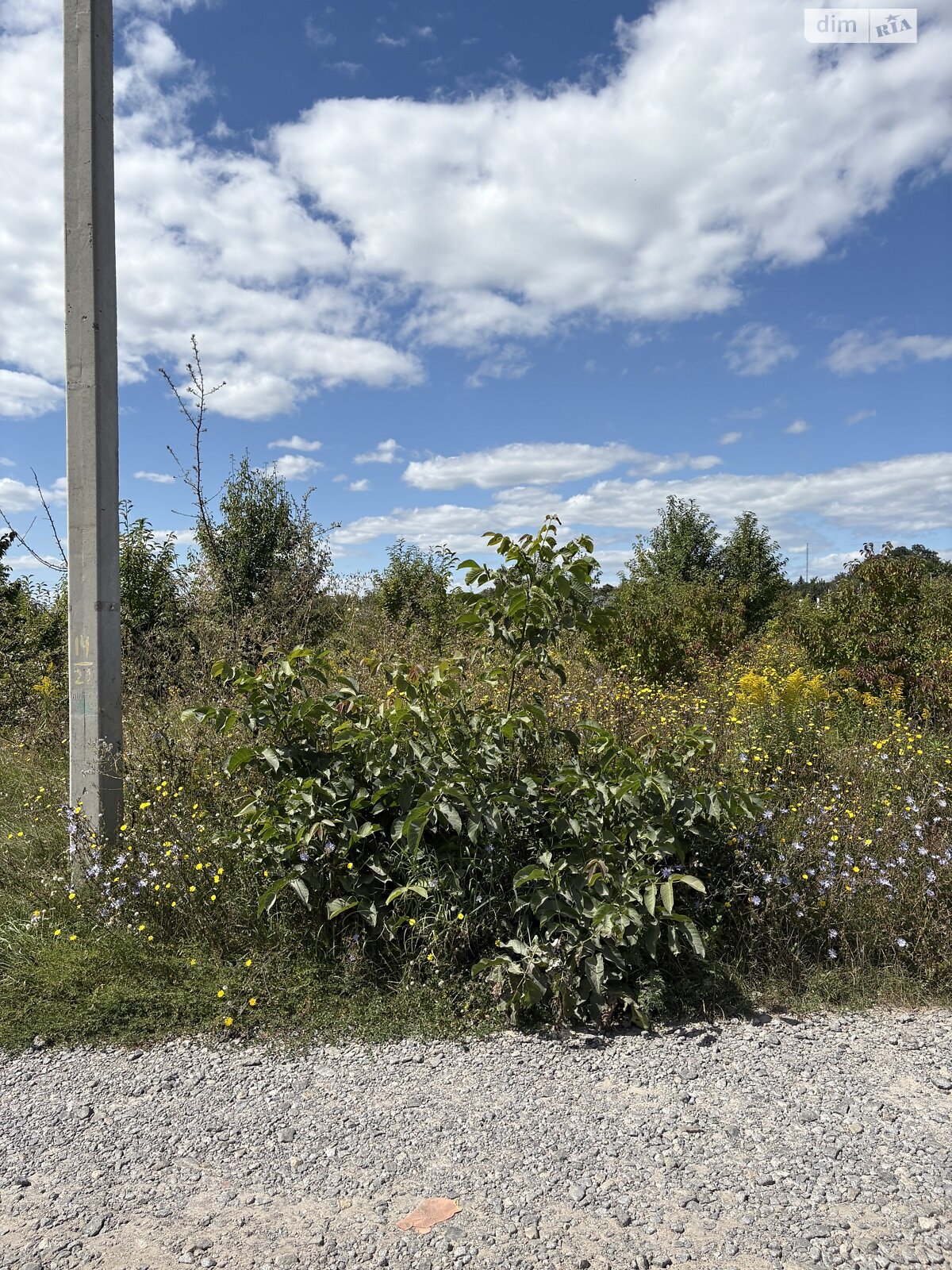 Земля сільськогосподарського призначення в Вінниці, район тип предложения, площа 20 соток фото 1 Земля сільськогосподарського призначення в Вінниці, район тип предложения, площа 20 соток фото 1