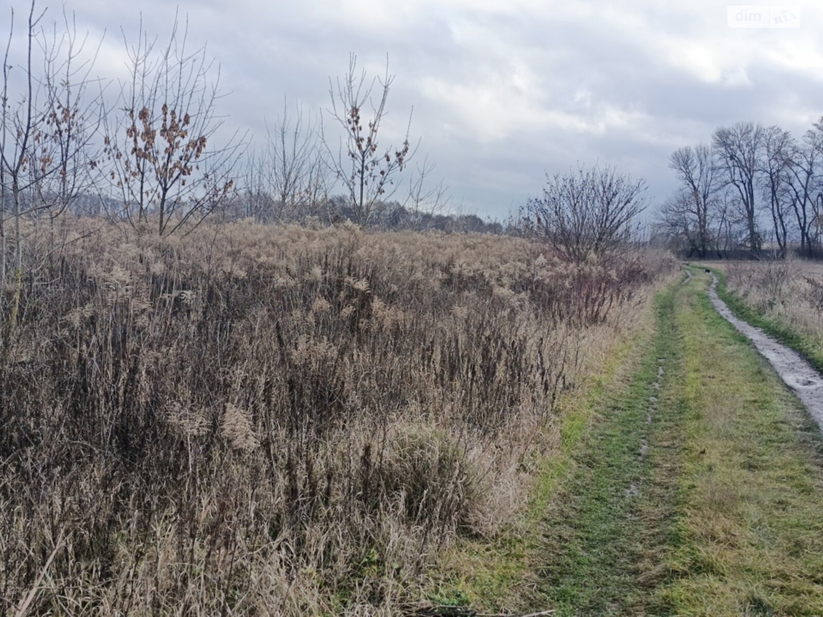 Земля сельскохозяйственного назначения в Виннице, район Тяжилов, площадь 3 сотки фото 1