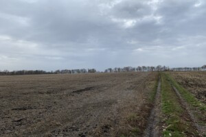 Земля сельскохозяйственного назначения в Виннице, район Тяжилов, площадь 272 сотки фото 2