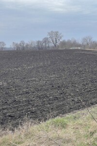 Земля сельскохозяйственного назначения в Виннице, район Тяжилов, площадь 136 соток фото 2