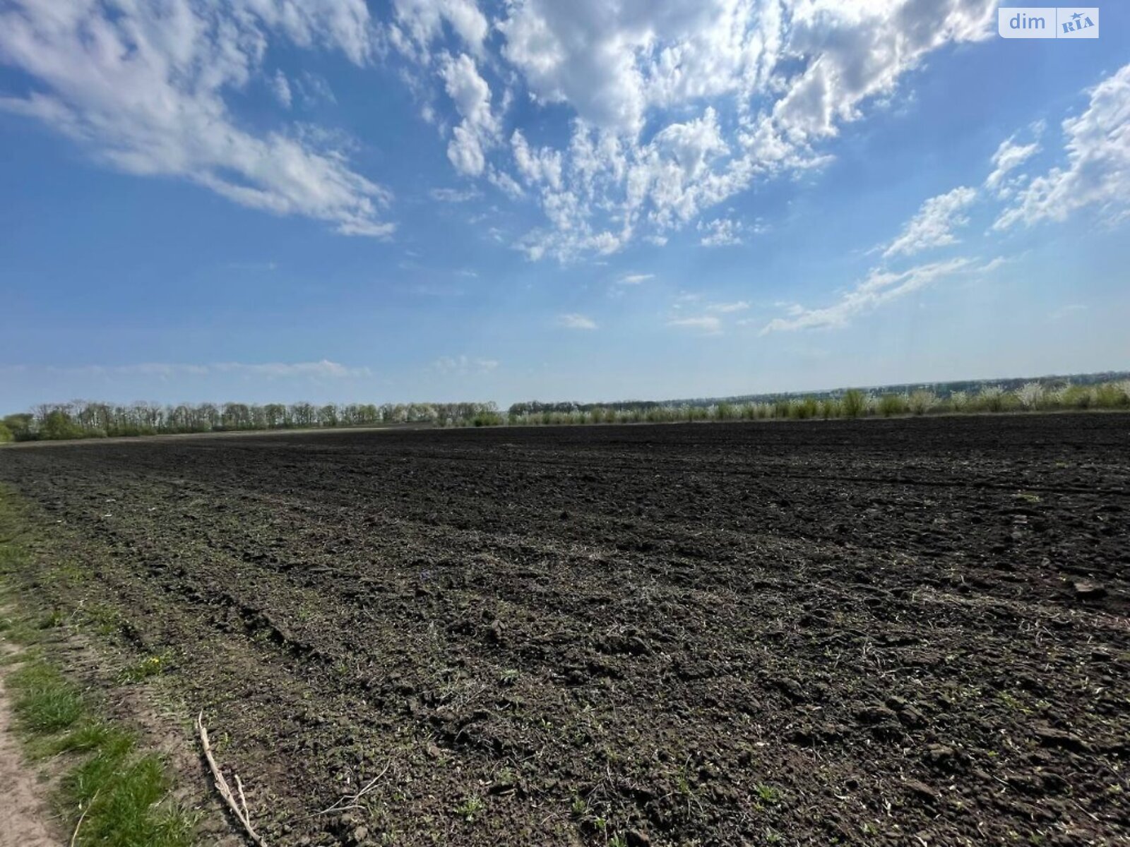 Земля сільськогосподарського призначення в Вінниці, район Тяжилів, площа 70 соток фото 1