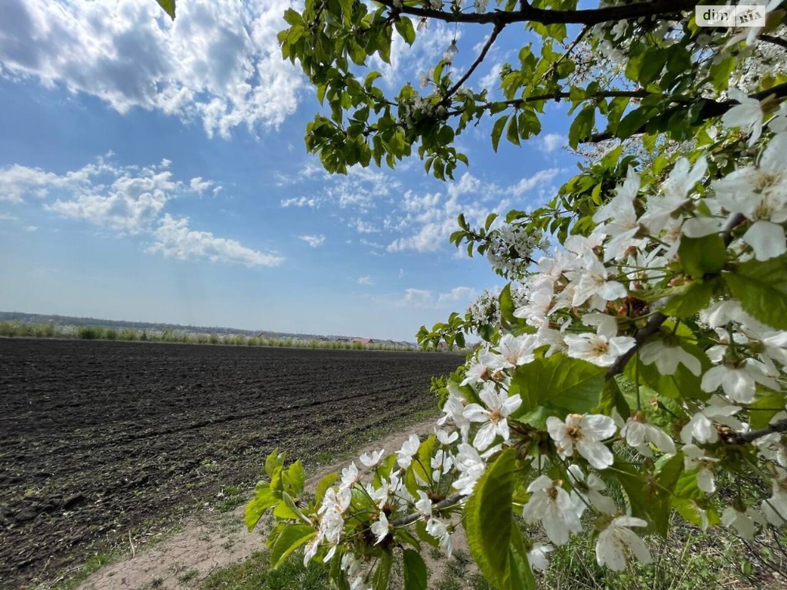 Земля сільськогосподарського призначення в Вінниці, район Тяжилів, площа 70 соток фото 1