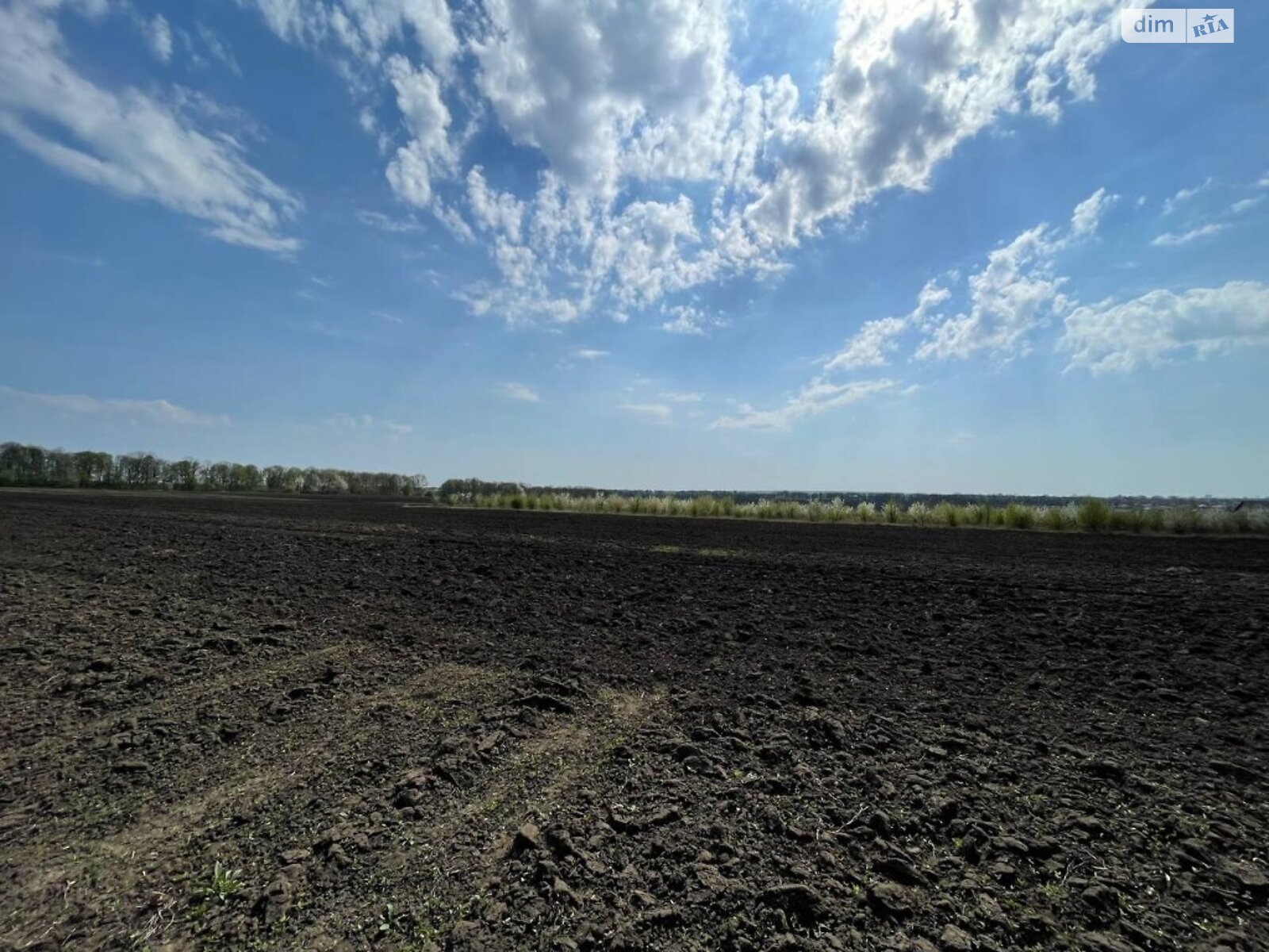 Земля сільськогосподарського призначення в Вінниці, район Тяжилів, площа 70 соток фото 1