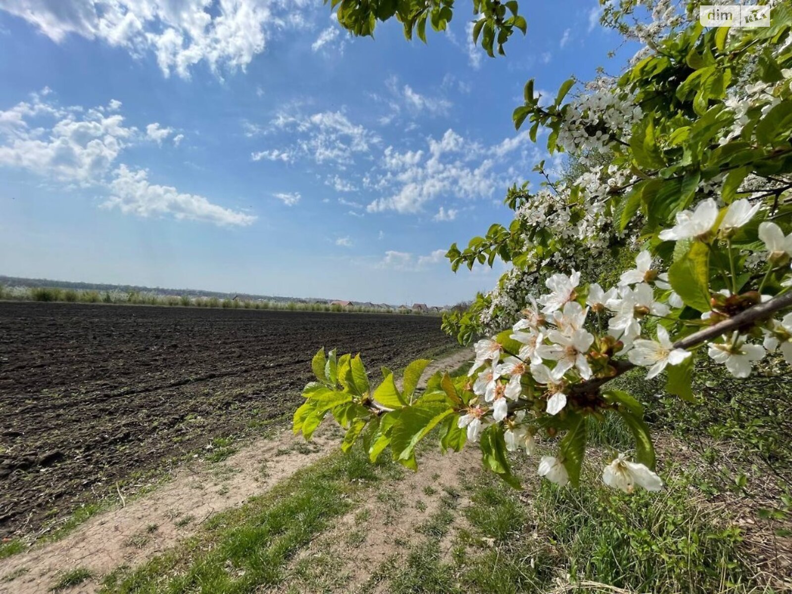 Земля сільськогосподарського призначення в Вінниці, район Тяжилів, площа 70 соток фото 1