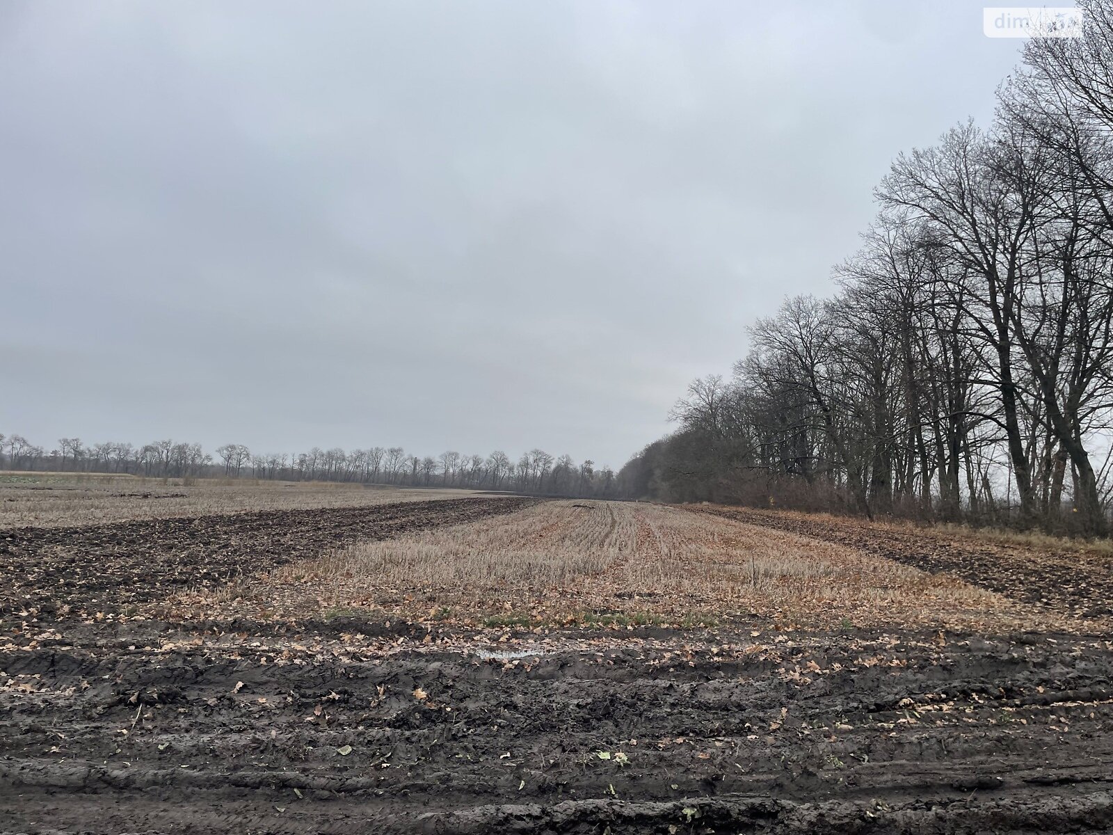 Земля сельскохозяйственного назначения в Виннице, район Тяжилов, площадь 125 соток фото 1