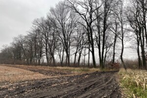 Земля сельскохозяйственного назначения в Виннице, район Тяжилов, площадь 125 соток фото 2