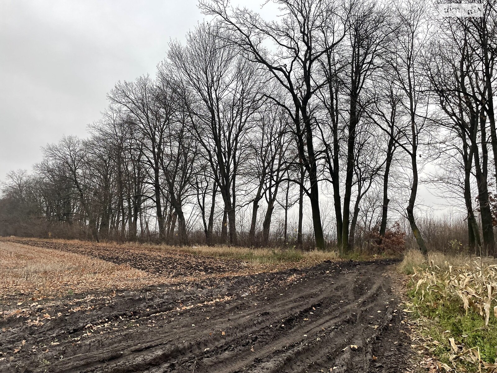 Земля сельскохозяйственного назначения в Виннице, район Тяжилов, площадь 125 соток фото 1