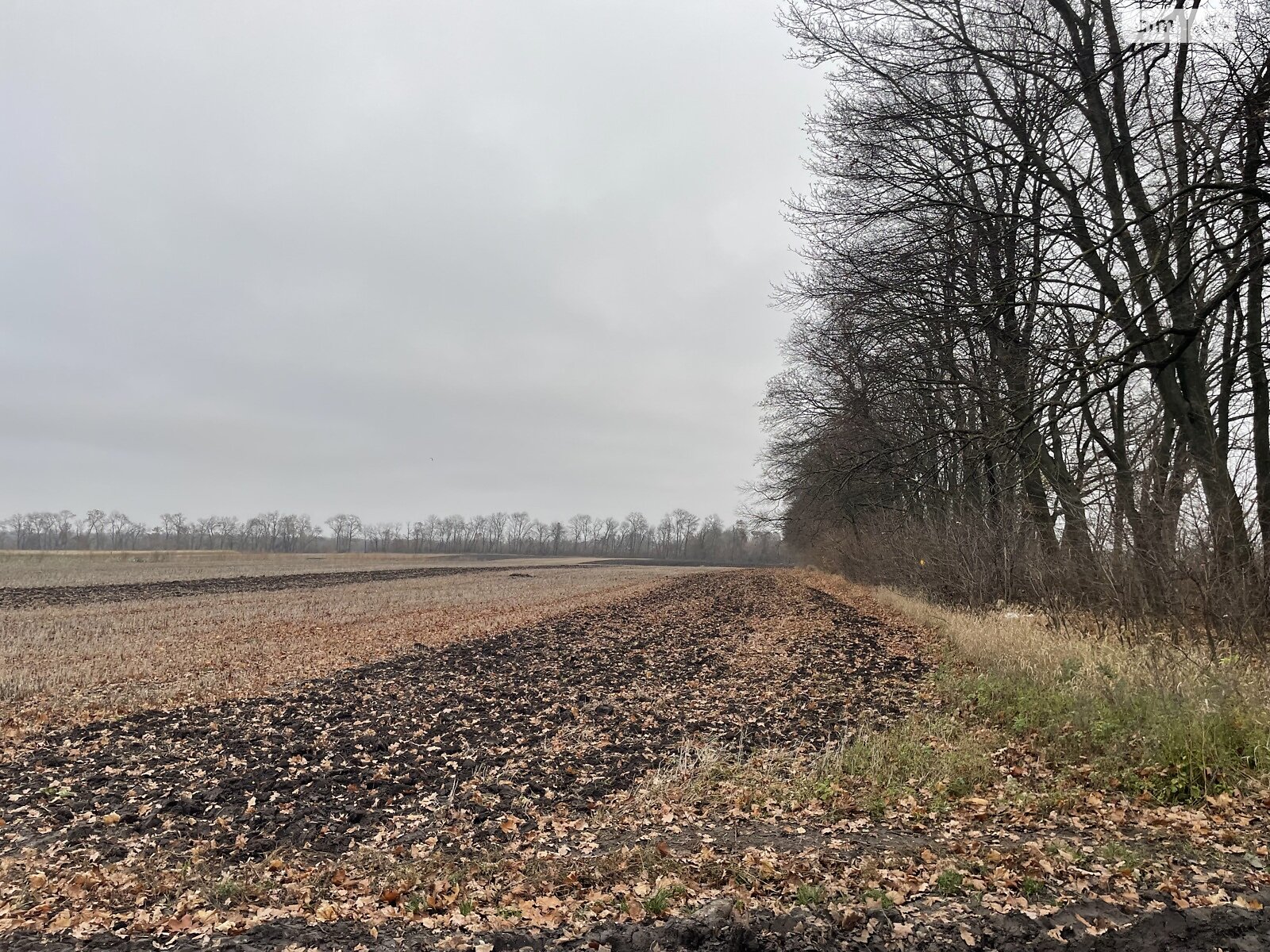Земля сельскохозяйственного назначения в Виннице, район Тяжилов, площадь 125 соток фото 1