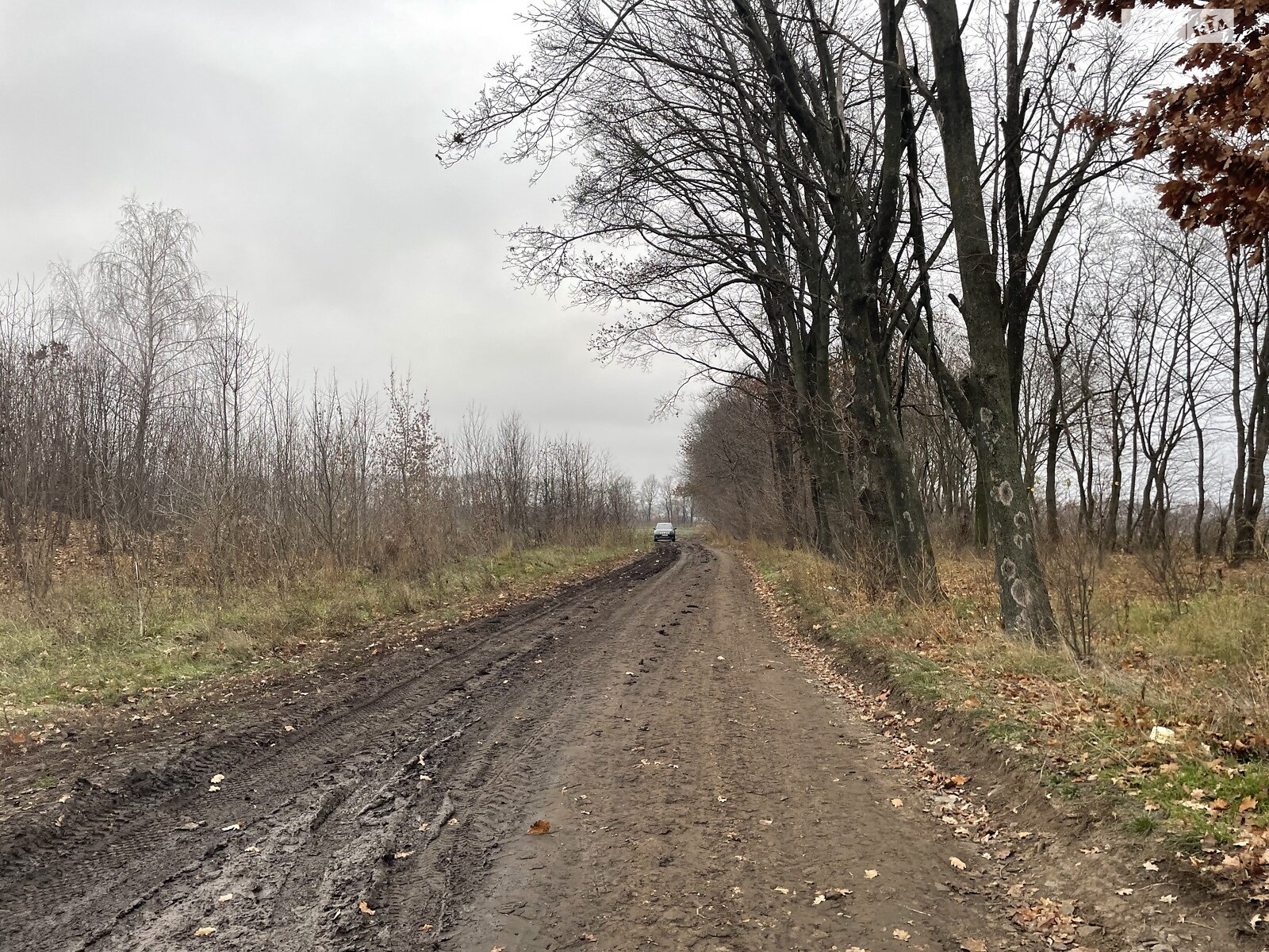 Земля сельскохозяйственного назначения в Виннице, район Тяжилов, площадь 125 соток фото 1
