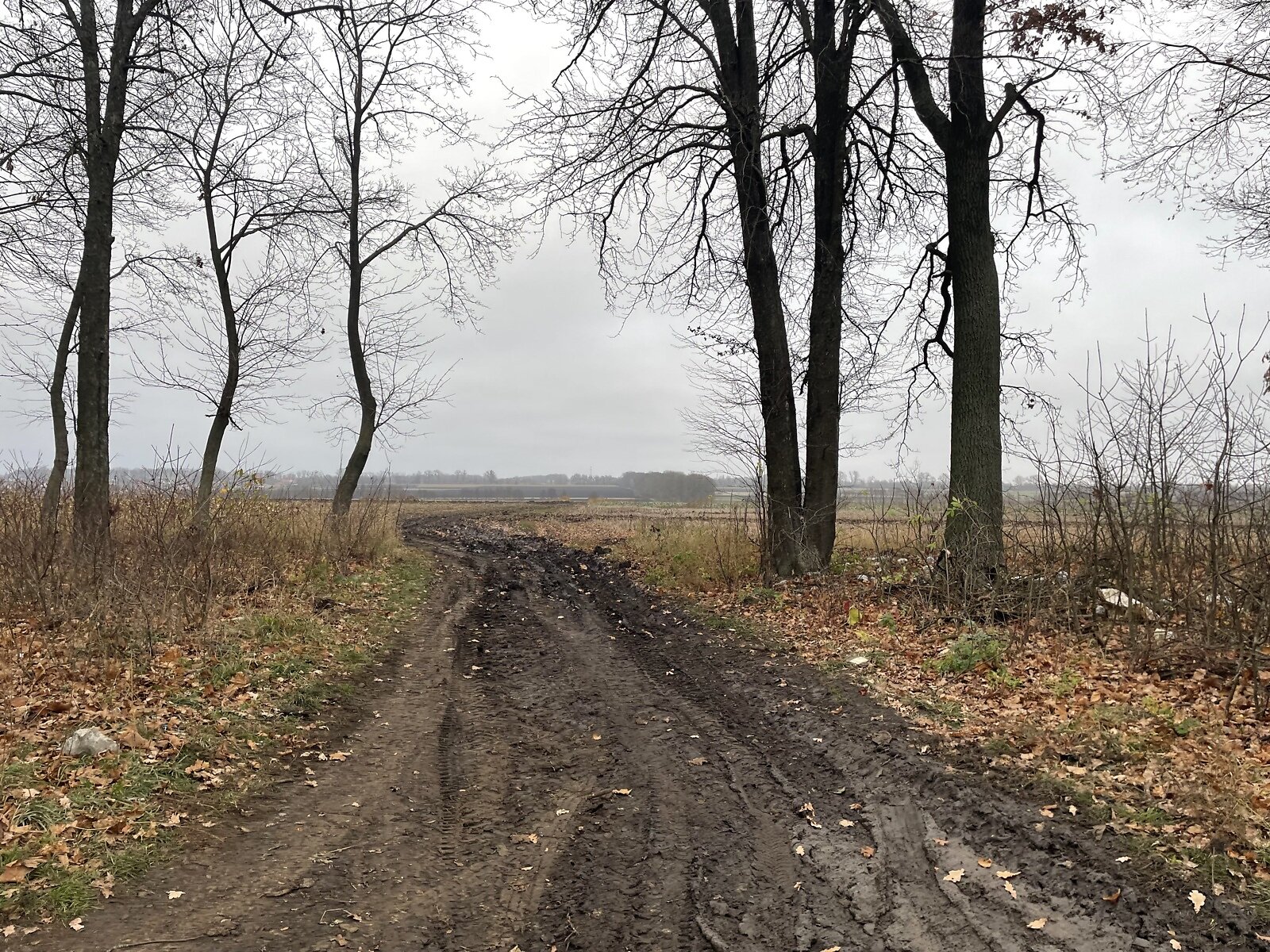 Земля сельскохозяйственного назначения в Виннице, район Тяжилов, площадь 125 соток фото 1