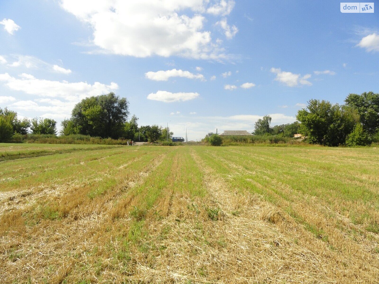 Земельный участок сельскохозяйственного назначения в Винницких Хуторах, площадь 50 соток фото 1