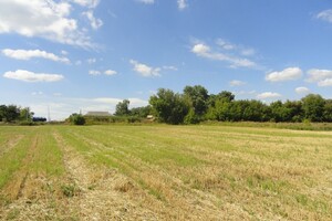 Земельный участок сельскохозяйственного назначения в Винницких Хуторах, площадь 50 соток фото 2