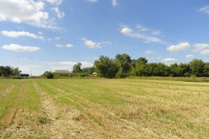 Земельна ділянка сільськогосподарського призначення в Вінницьких Хуторах, площа 50 соток фото 2