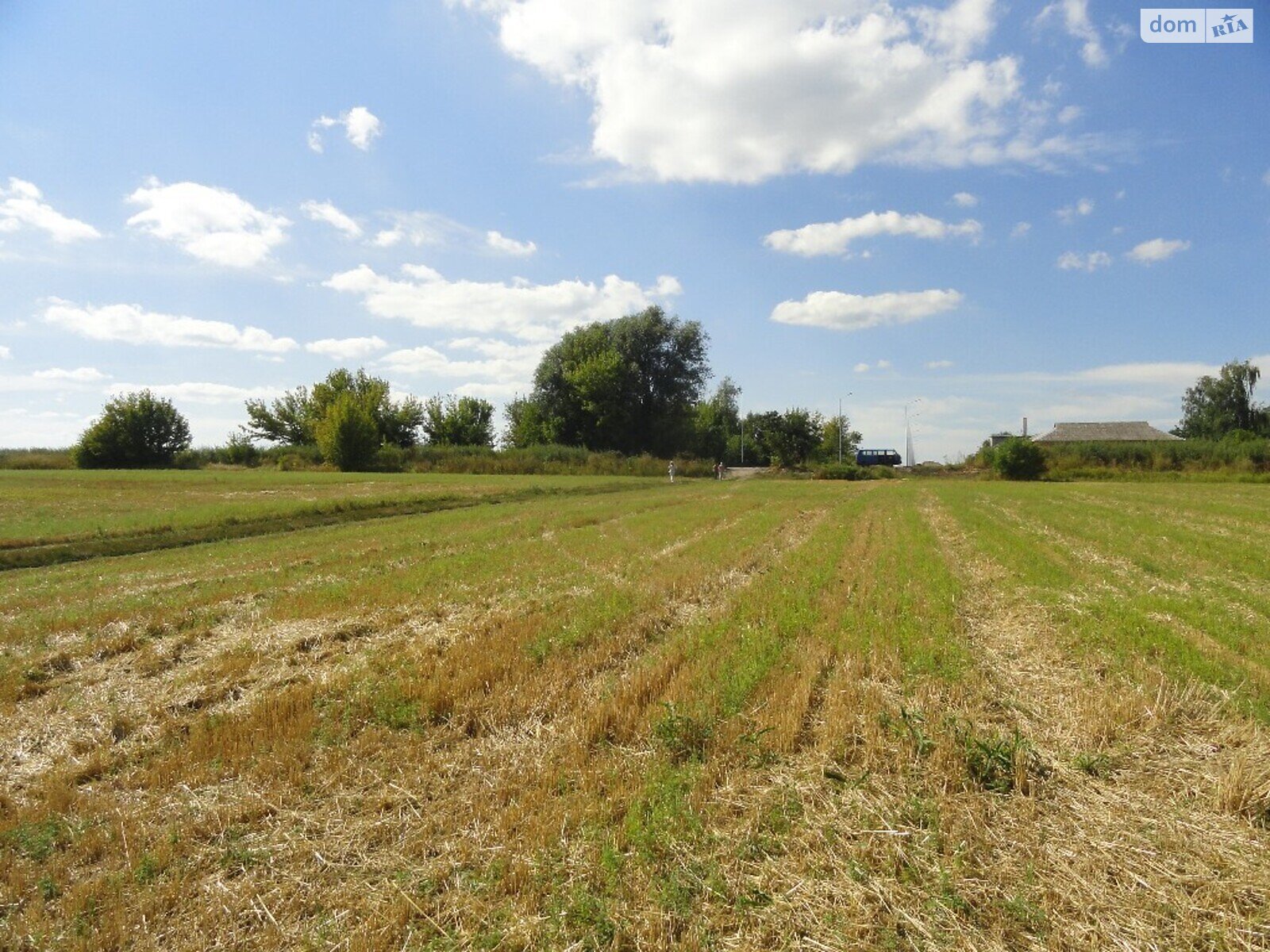 Земельный участок сельскохозяйственного назначения в Винницких Хуторах, площадь 50 соток фото 1