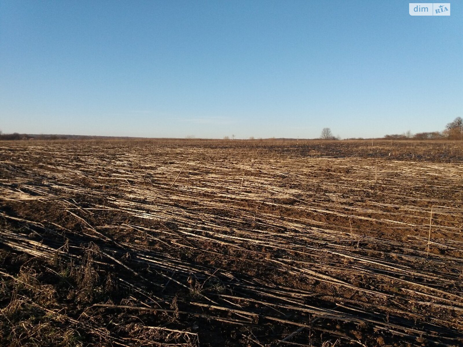 Земля сільськогосподарського призначення в Вінниці, район Вишенька, площа 1.944 Га фото 1