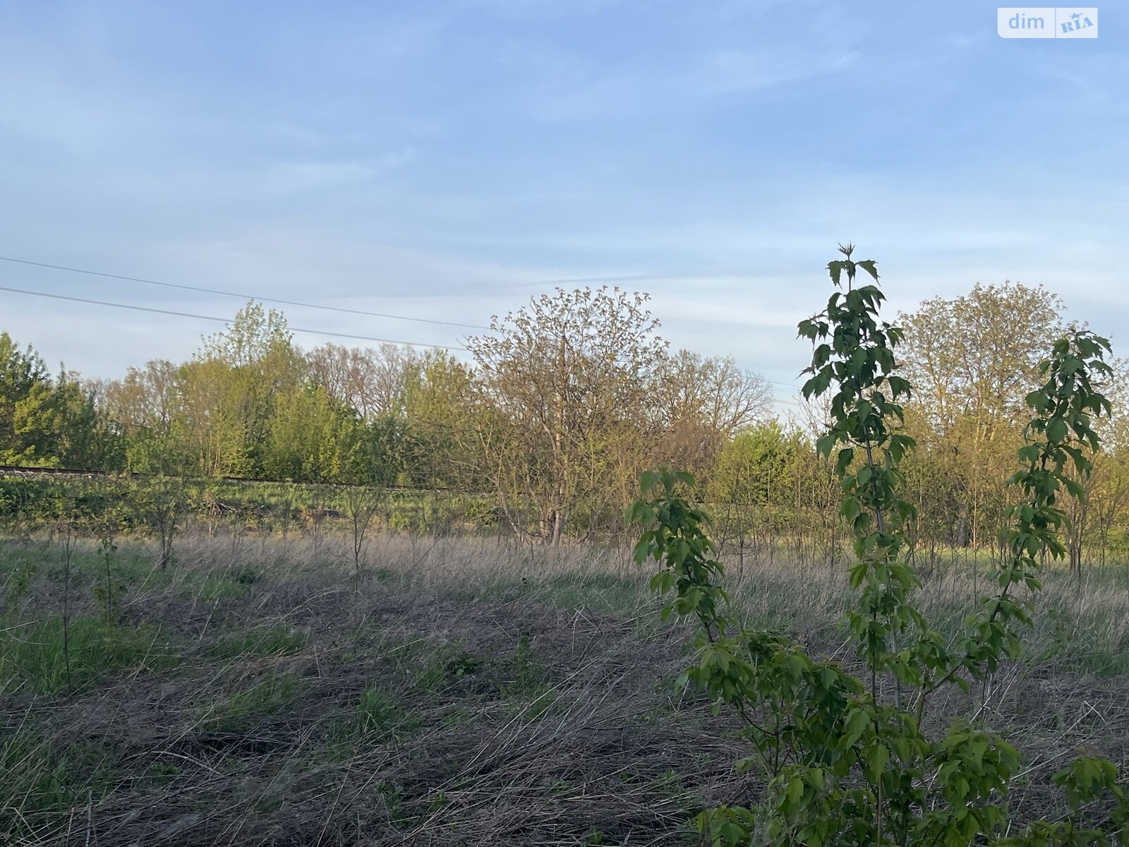 Земля сільськогосподарського призначення в Вінниці, район Замостя, площа 5 соток фото 1 Земля сільськогосподарського призначення в Вінниці, район Замостя, площа 5 соток фото 1