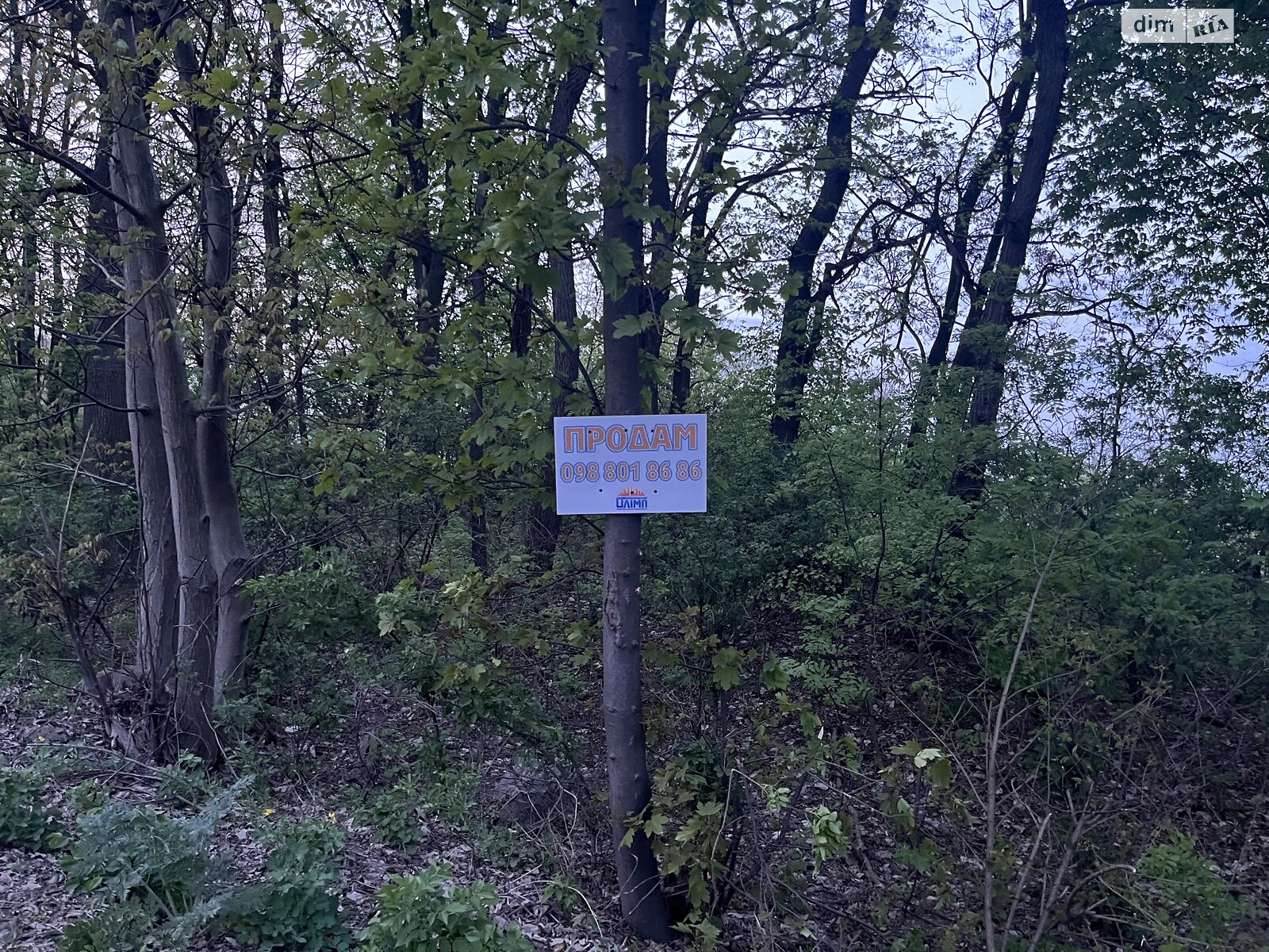Земля сільськогосподарського призначення в Вінниці, район Замостя, площа 5 соток фото 1 Земля сільськогосподарського призначення в Вінниці, район Замостя, площа 5 соток фото 1