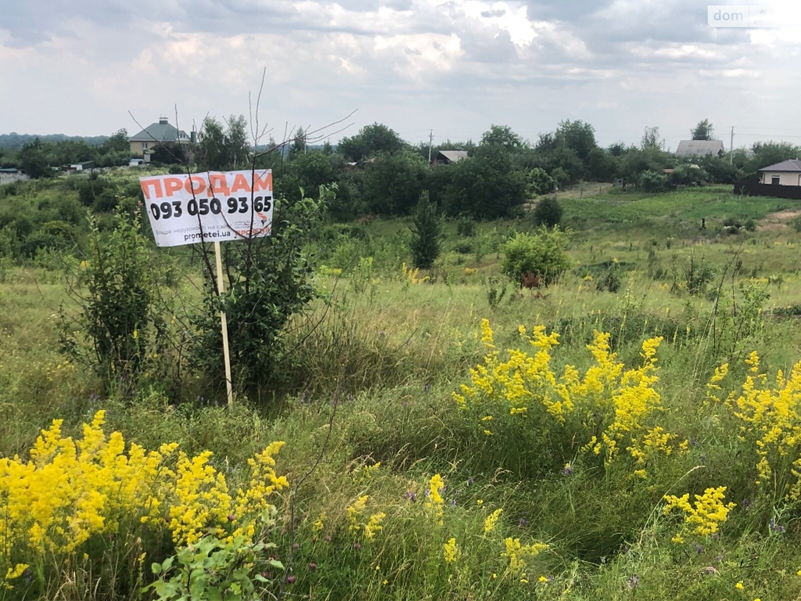 Земельна ділянка сільськогосподарського призначення в Зарванцях, площа 10 соток фото 1