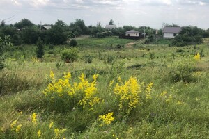 Земельна ділянка сільськогосподарського призначення в Зарванцях, площа 10 соток фото 2