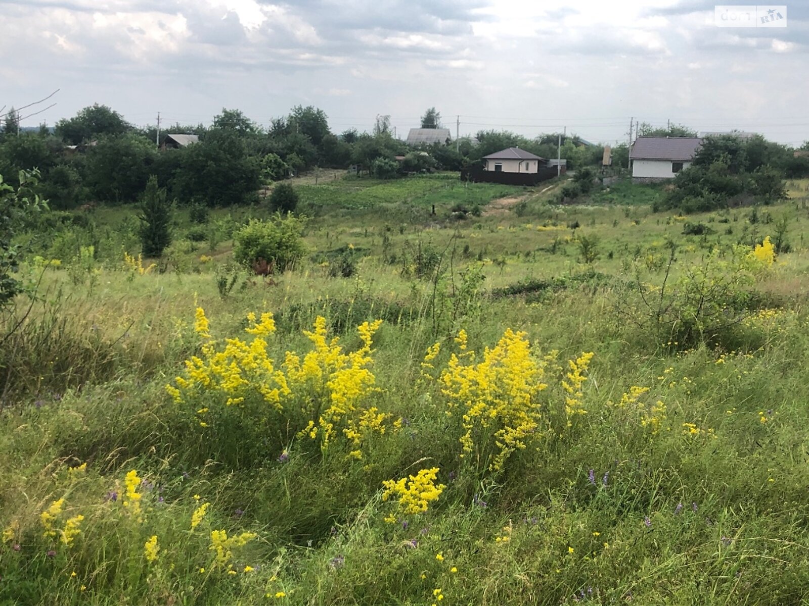 Земельна ділянка сільськогосподарського призначення в Зарванцях, площа 10 соток фото 1