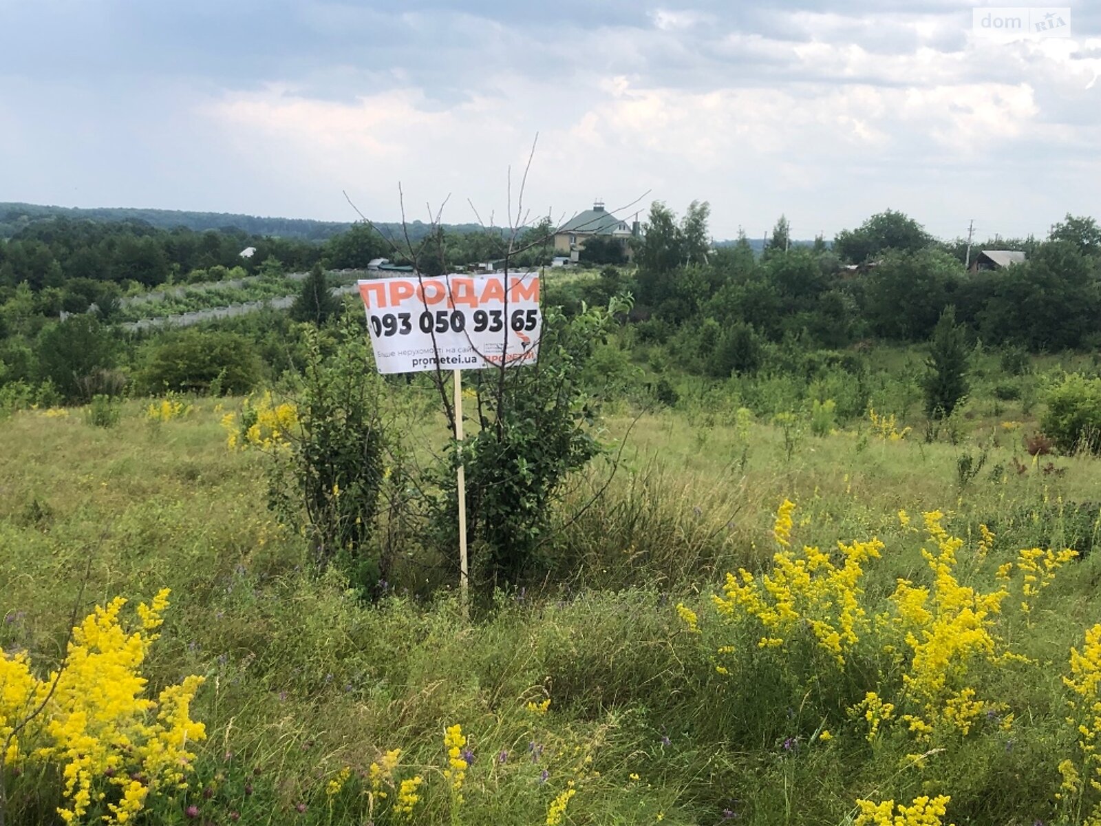 Земельна ділянка сільськогосподарського призначення в Зарванцях, площа 10 соток фото 1