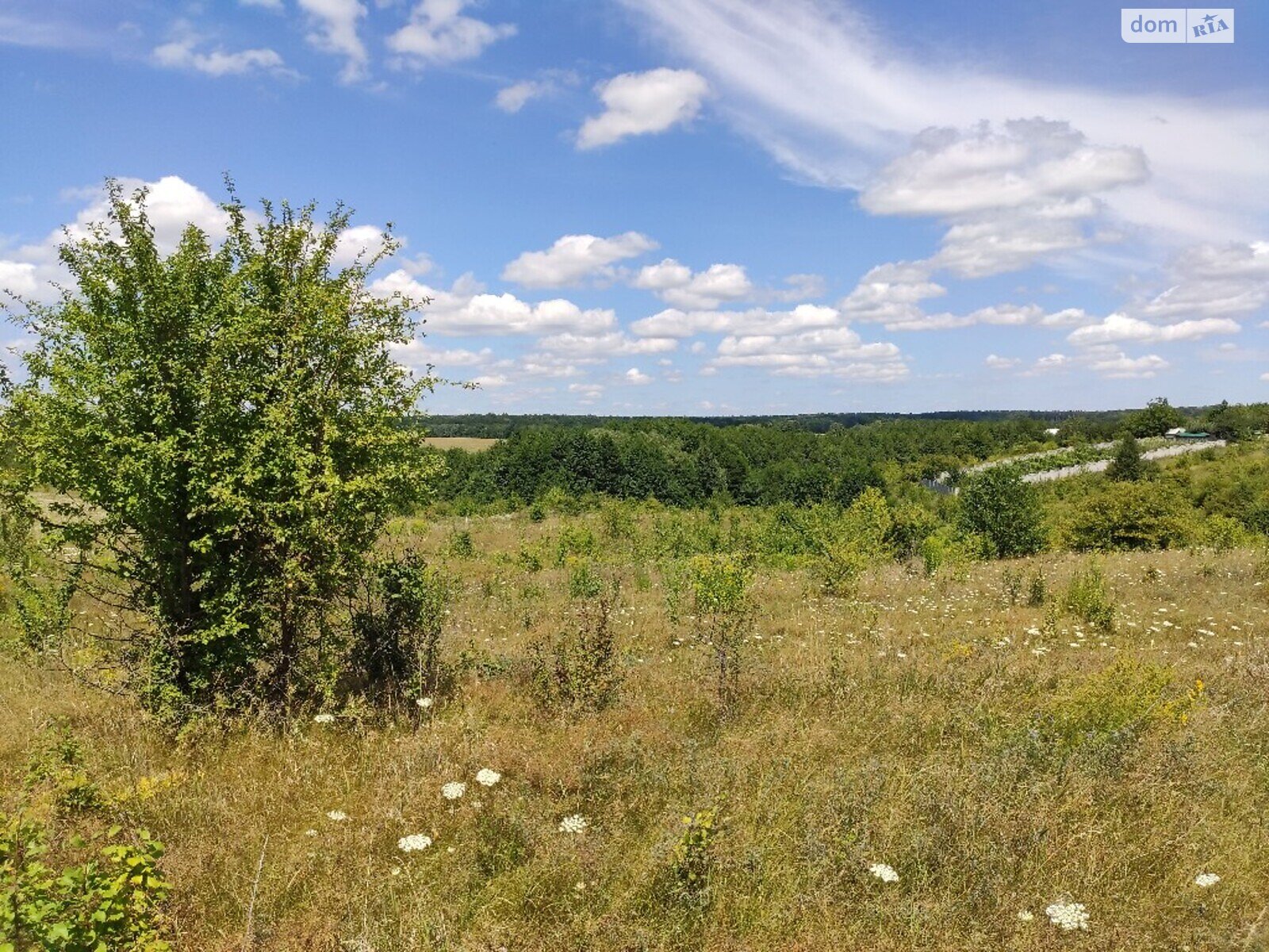 Земельна ділянка сільськогосподарського призначення в Зарванцях, площа 10 соток фото 1