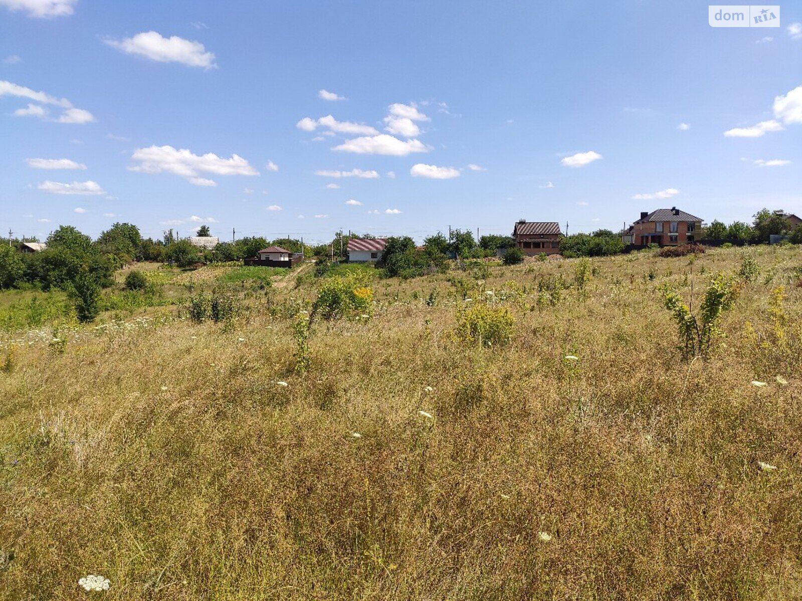 Земельна ділянка сільськогосподарського призначення в Зарванцях, площа 10 соток фото 1