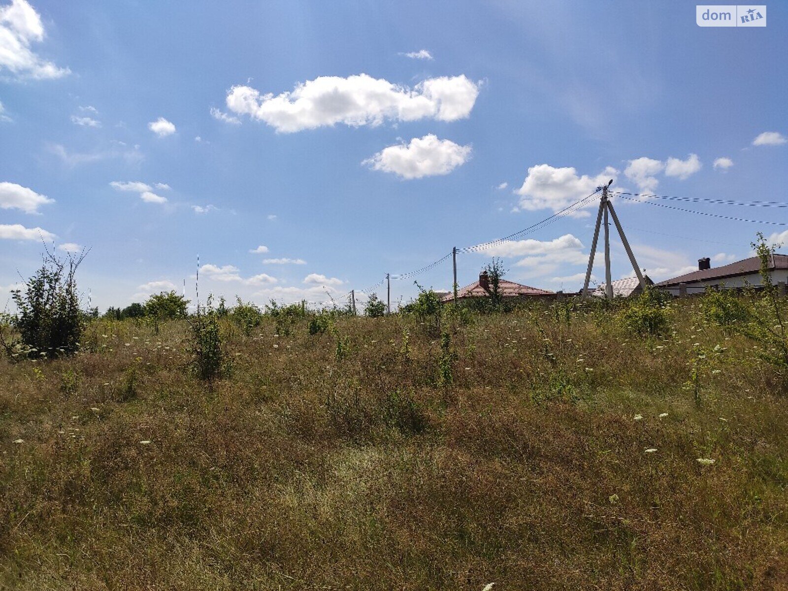 Земельна ділянка сільськогосподарського призначення в Зарванцях, площа 10 соток фото 1