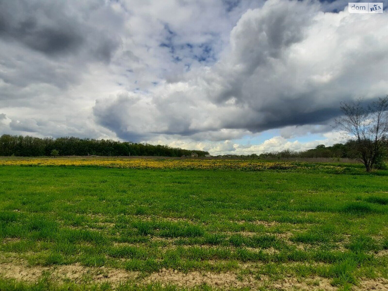 Земельный участок сельскохозяйственного назначения в Зарванцах, площадь 10 соток фото 1