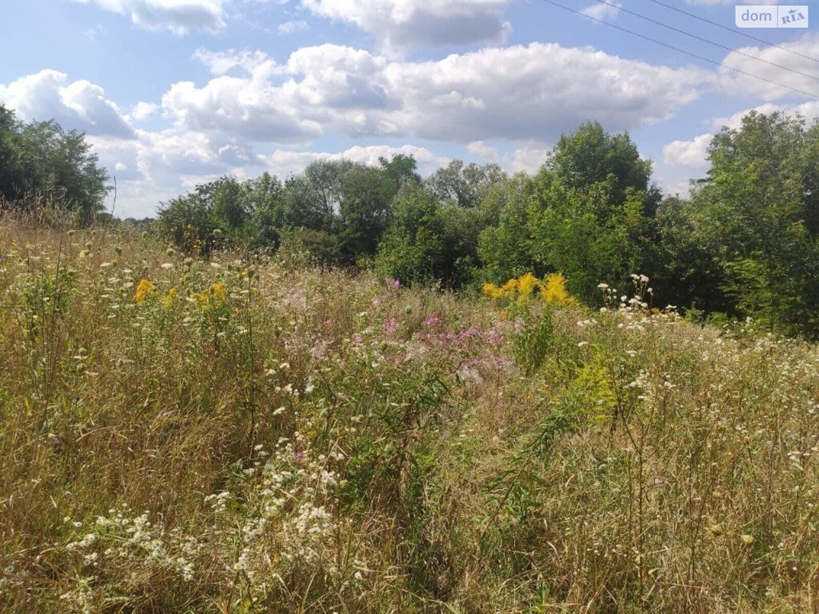 Земельна ділянка сільськогосподарського призначення в Зарванцях, площа 15 соток фото 1