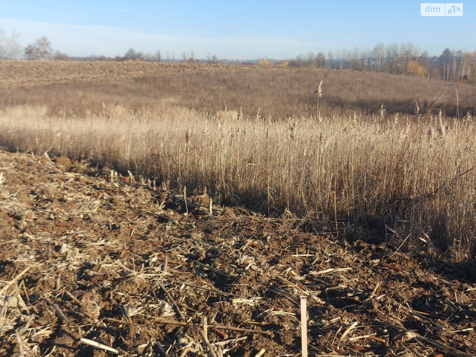 Земельна ділянка сільськогосподарського призначення в Березині, площа 12 соток фото 1