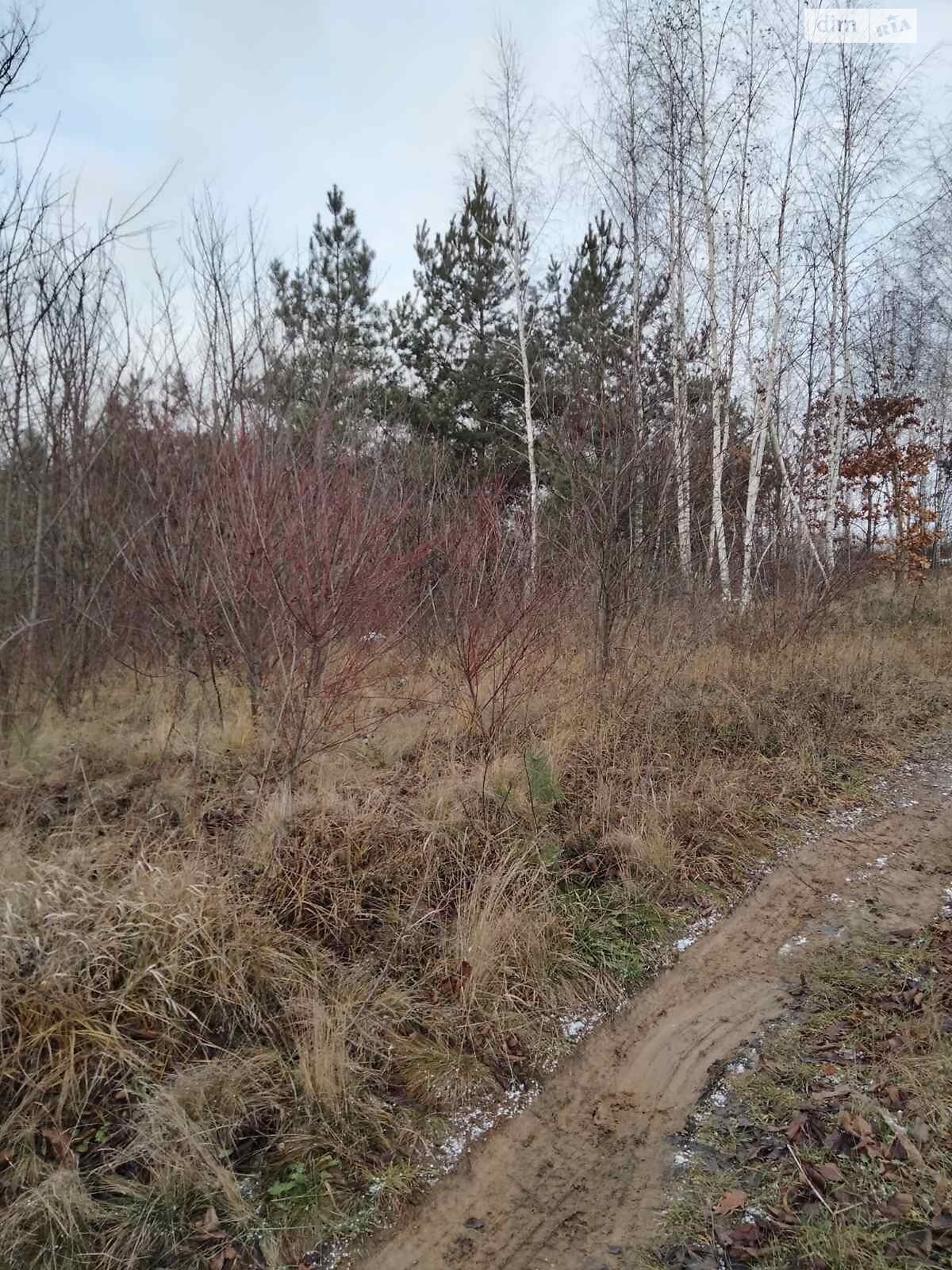 Земельный участок сельскохозяйственного назначения в Виннице, площадь 1 Га фото 1