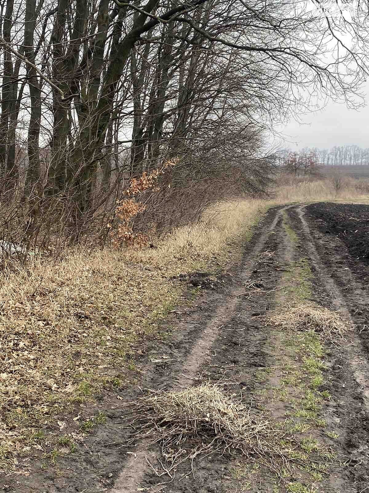 Земля сільськогосподарського призначення в Вінниці, район Тяжилів, площа 1.26 Га фото 1