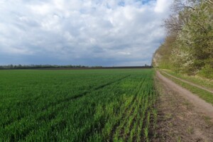 Земельна ділянка сільськогосподарського призначення в Вінниці, площа 136 соток фото 2