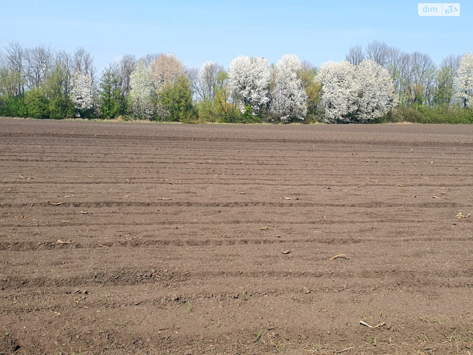 Земельный участок сельскохозяйственного назначения в Винницких Хуторах, площадь 138 соток фото 1