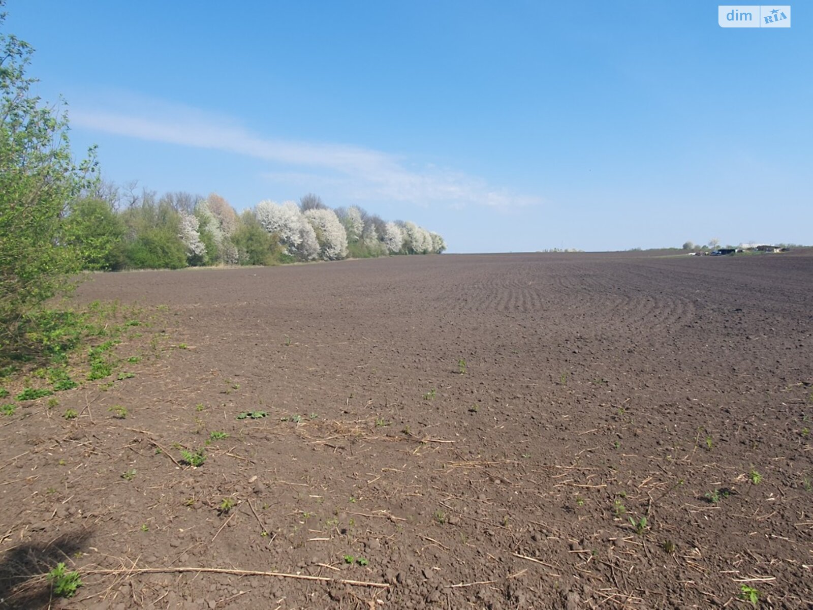 Земельна ділянка сільськогосподарського призначення в Вінницьких Хуторах, площа 138 соток фото 1