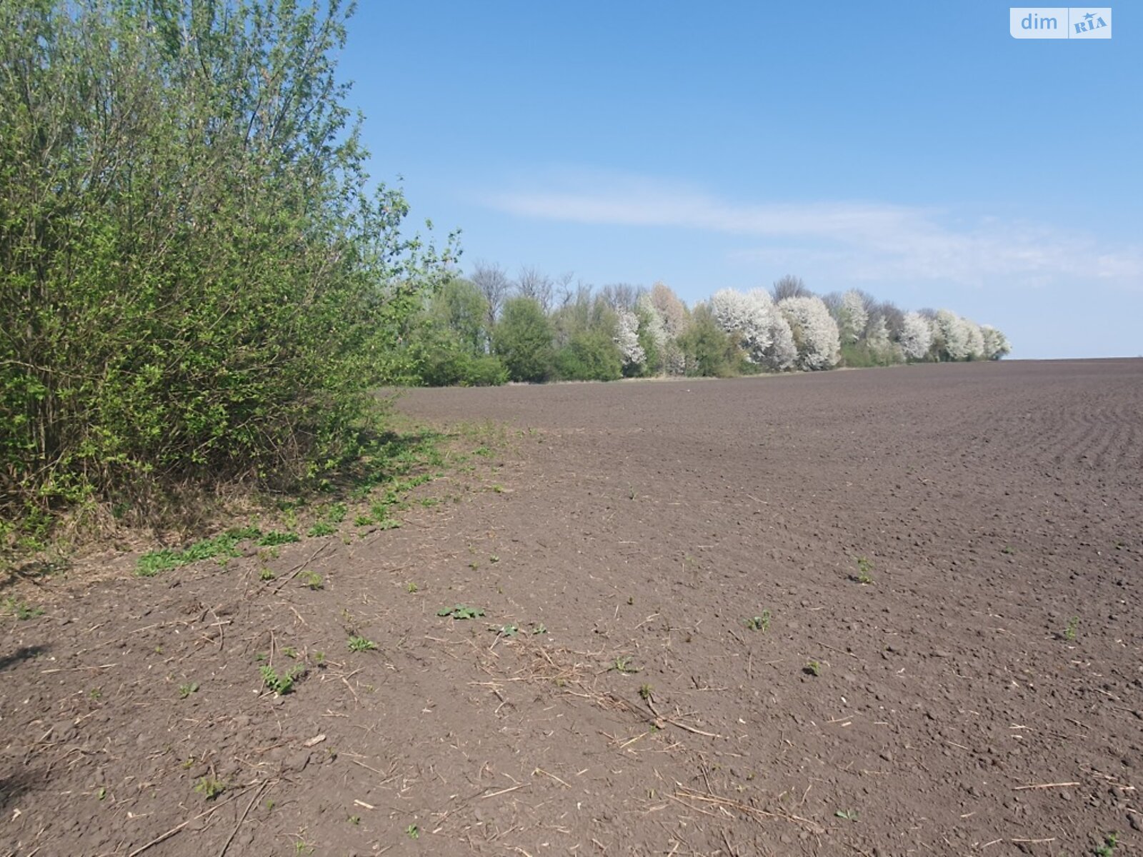 Земельна ділянка сільськогосподарського призначення в Вінницьких Хуторах, площа 138 соток фото 1