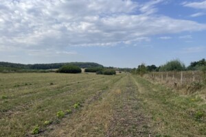 Земельный участок сельскохозяйственного назначения в Виннице, площадь 24 сотки фото 2