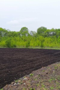 Земельна ділянка сільськогосподарського призначення в Вінниці, площа 133.79 сотки фото 2