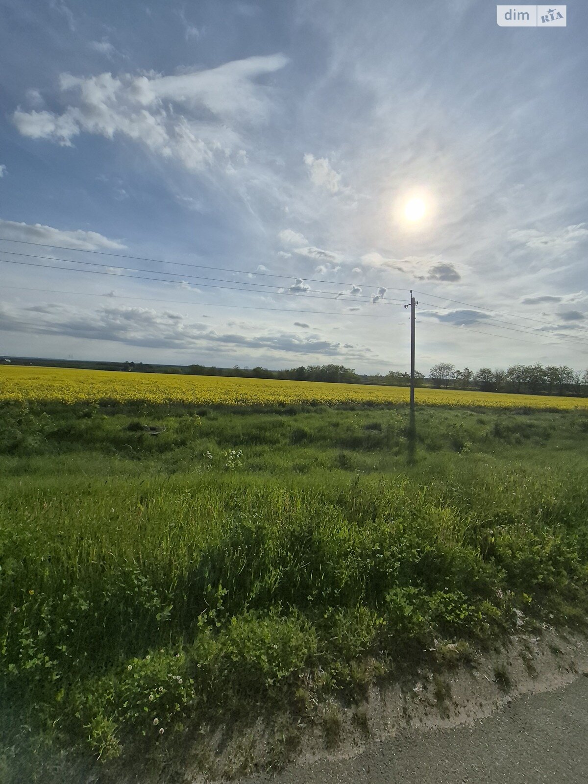 Земельна ділянка сільськогосподарського призначення в Вінниці, площа 1 Га фото 1 Земельна ділянка сільськогосподарського призначення в Вінниці, площа 1 Га фото 1