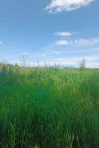 Земля сільськогосподарського призначення в Вінниці, площа 1.5 Га фото 2