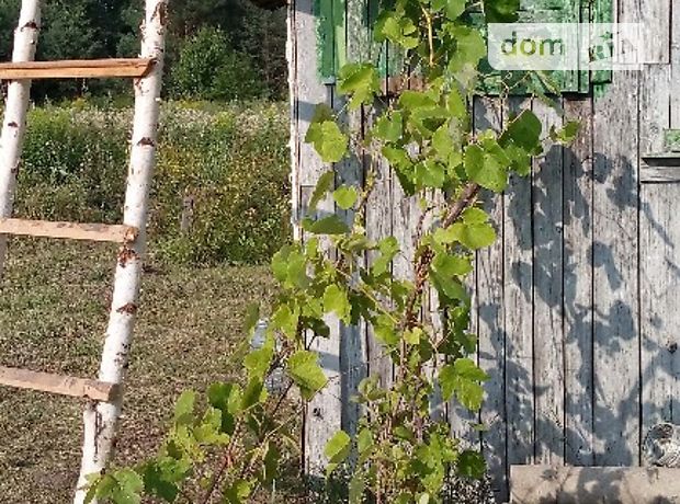 Продажа земли сельскохозяйственного назначения, Винница Продажа земли сельскохозяйственного назначения, Винница