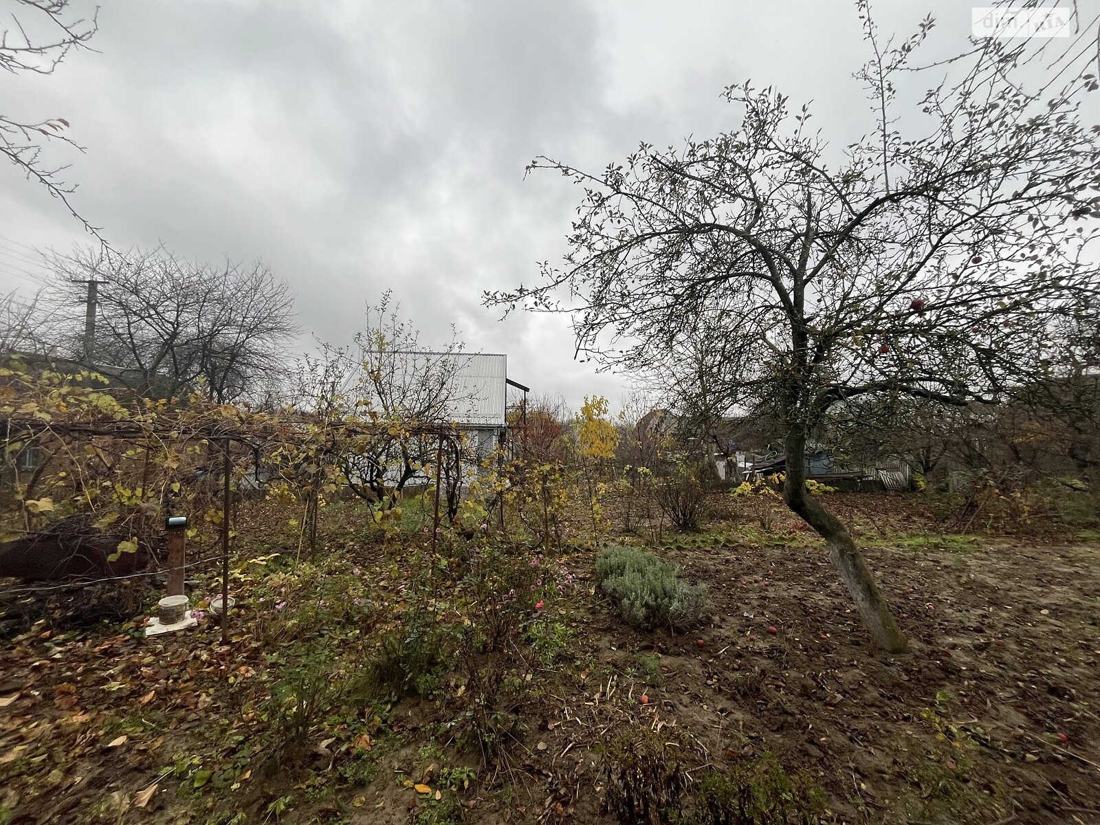 Земельный участок сельскохозяйственного назначения в Винницких Хуторах, площадь 5 соток фото 1 Земельный участок сельскохозяйственного назначения в Винницких Хуторах, площадь 5 соток фото 1