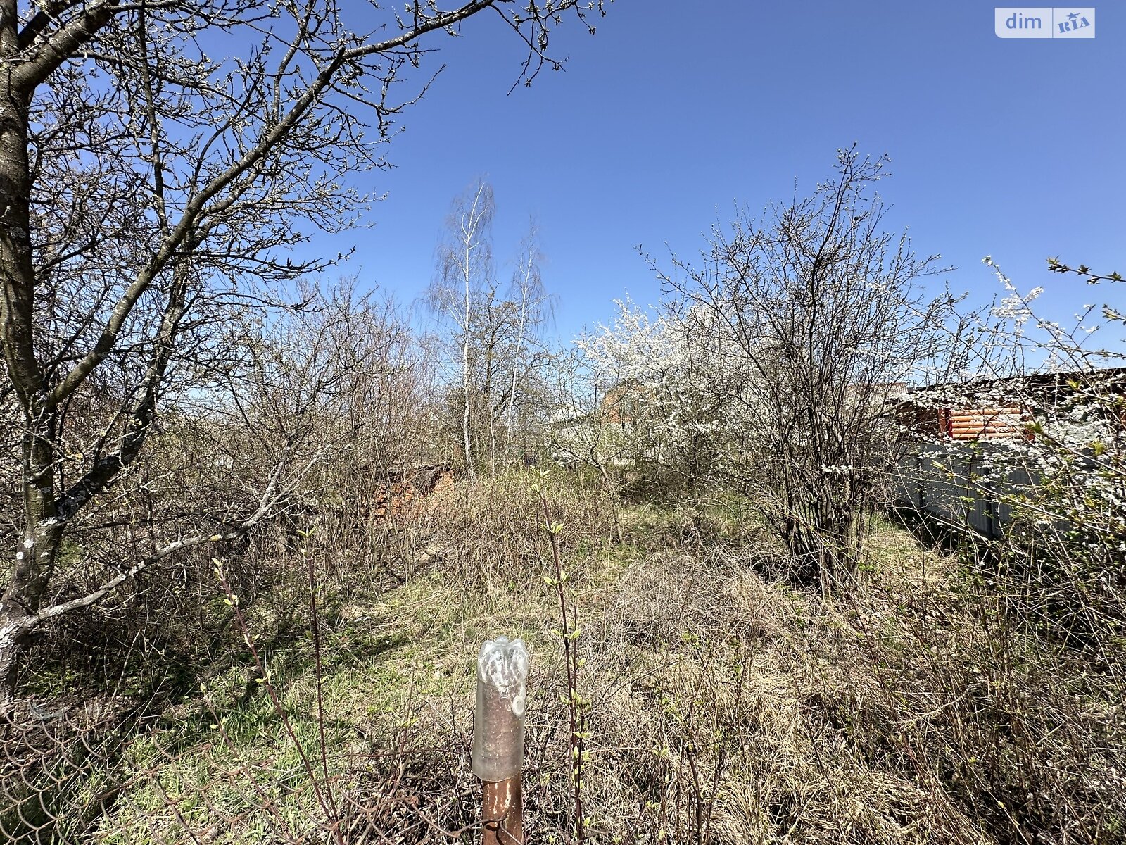 Земельна ділянка сільськогосподарського призначення в Вінницьких Хуторах, площа 4 сотки фото 1 Земельна ділянка сільськогосподарського призначення в Вінницьких Хуторах, площа 4 сотки фото 1