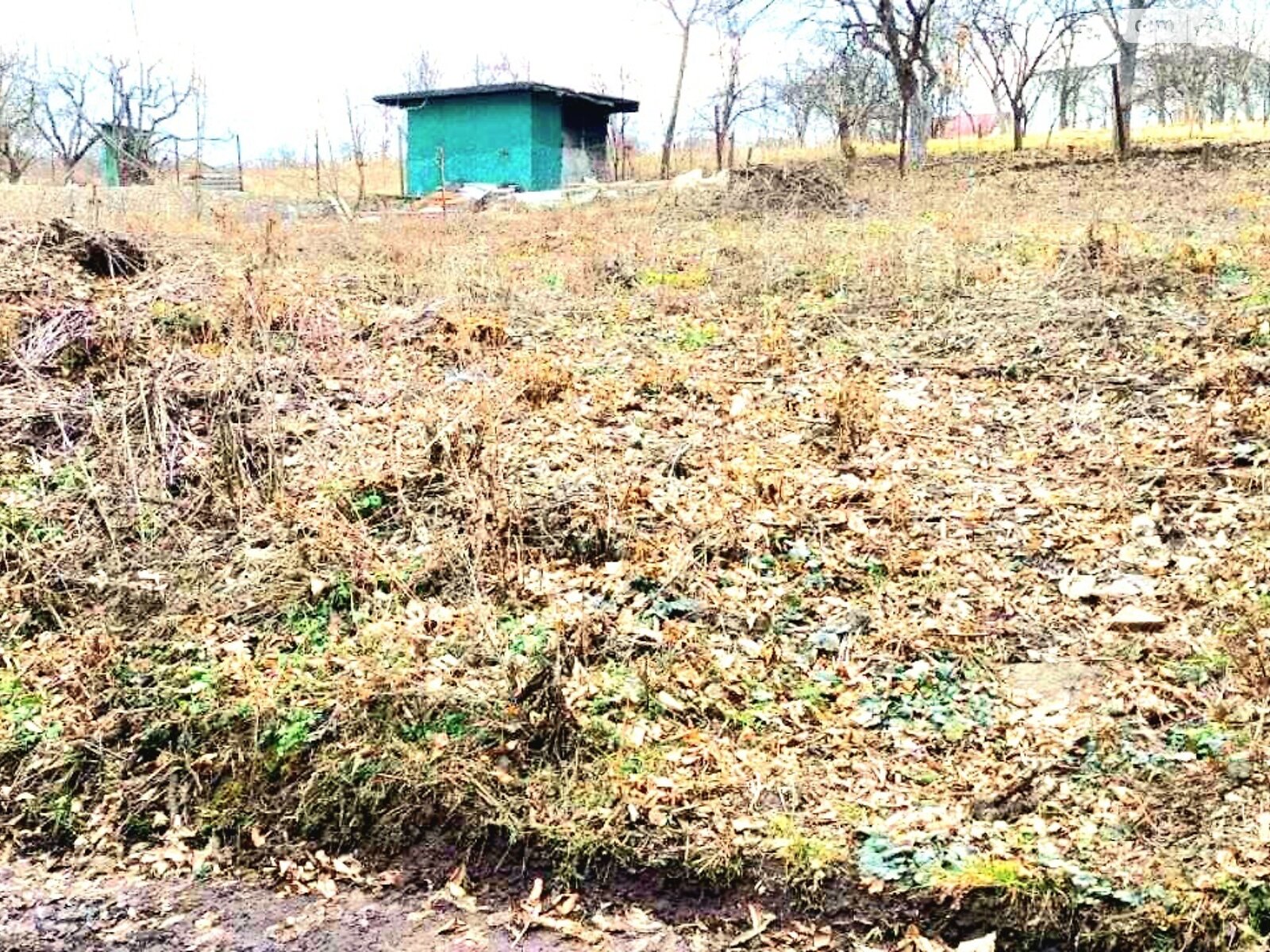 Земельный участок сельскохозяйственного назначения в Винницких Хуторах, площадь 4 сотки фото 1 Земельный участок сельскохозяйственного назначения в Винницких Хуторах, площадь 4 сотки фото 1