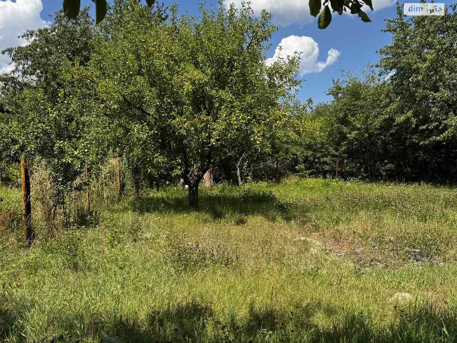 Земельна ділянка сільськогосподарського призначення в Вінницьких Хуторах, площа 6 соток фото 1 Земельна ділянка сільськогосподарського призначення в Вінницьких Хуторах, площа 6 соток фото 1