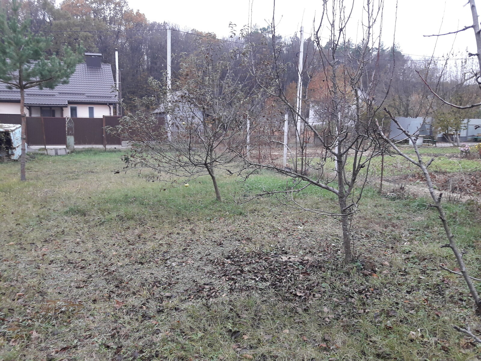 Земельна ділянка сільськогосподарського призначення в Вінницьких Хуторах, площа 4 сотки фото 1