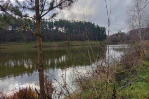 Земельна ділянка сільськогосподарського призначення в Вінницьких Хуторах, площа 9.24 сотки фото 2