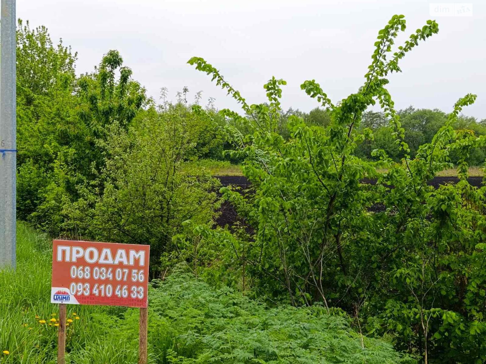 Земельна ділянка сільськогосподарського призначення в Вінницьких Хуторах, площа 137 соток фото 1 Земельна ділянка сільськогосподарського призначення в Вінницьких Хуторах, площа 137 соток фото 1